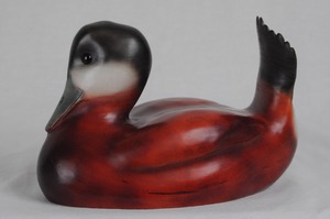 Ruddy Duck